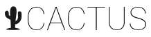 Afyon Çiçek Market - CACTUS Çiçek 7/24 Çiçek