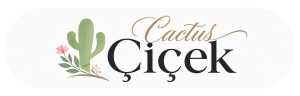 Cactus Cicek