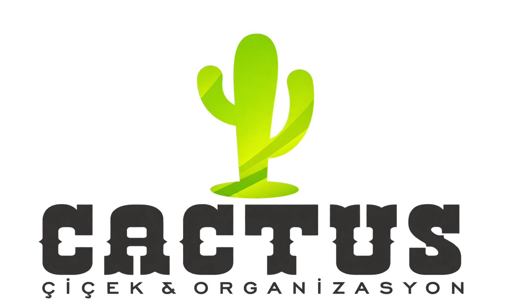 Afyon Çiçek Market - CACTUS Çiçek 7/24 Çiçek