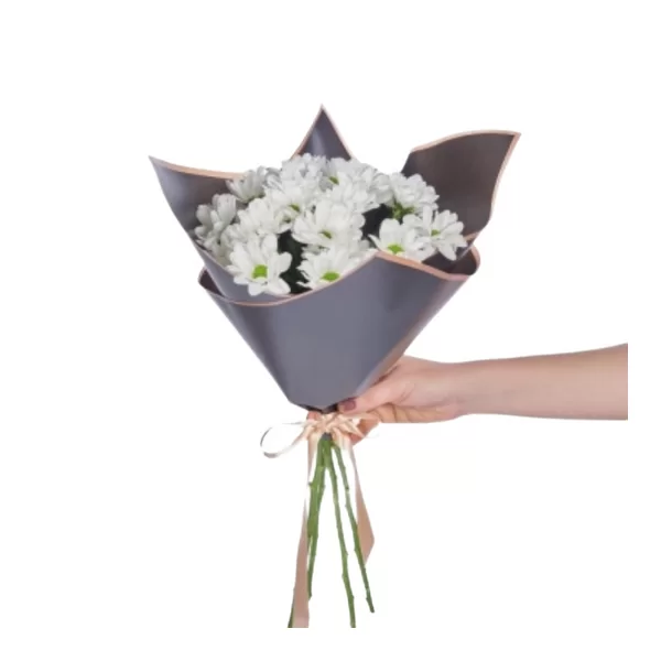 White Daisy