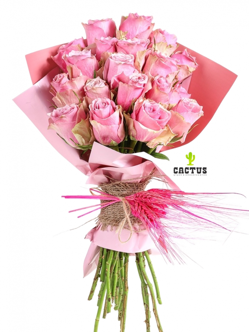 Premium Pink Rose